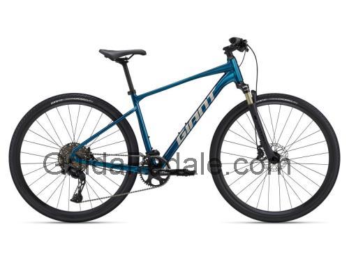 Giant Roam 0 scheda tecnica e recensioni